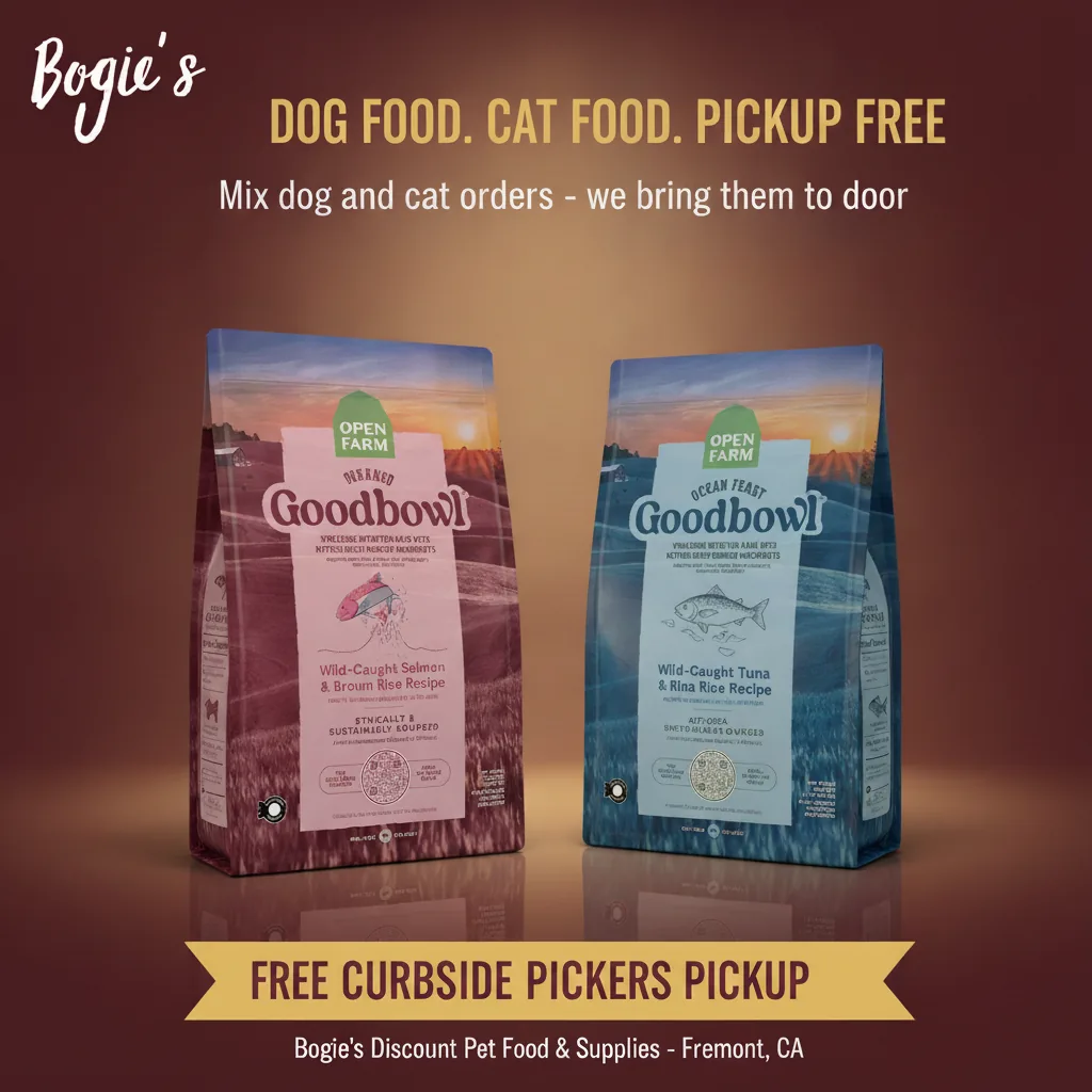 Is Grain Free Cat Food a Myth? What Vets Really Think